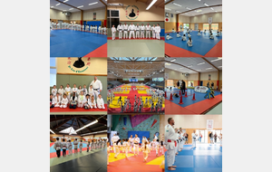 Journée mondiale du Judo