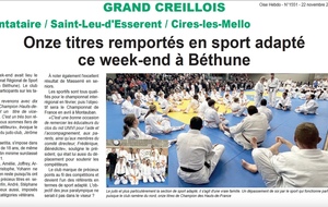 Article de presse 