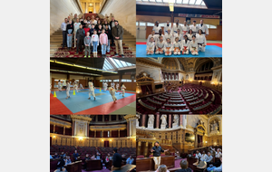 Stage Judo & Citoyenneté