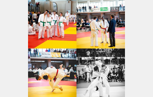 Championnat de France de para judo adapté