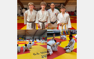 Stage Judo à Senlis 