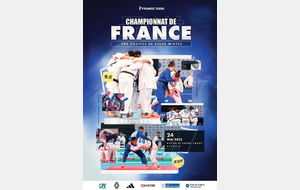 Championnat de France par équipes mixtes 