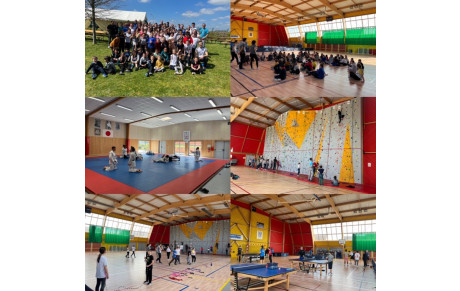 Stage Multisports